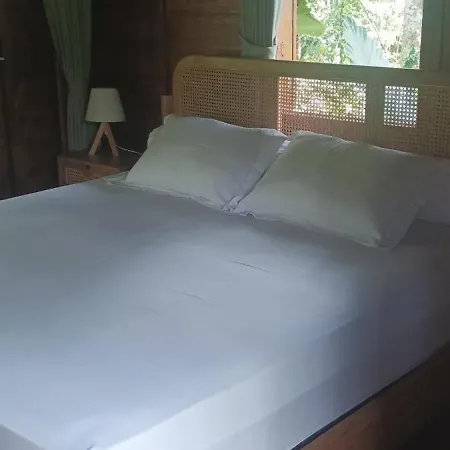 Eco Petulu