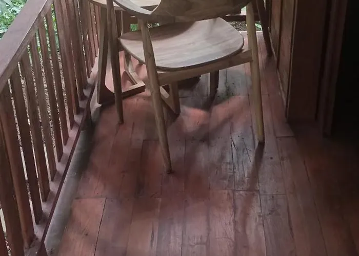 Eco Petulu