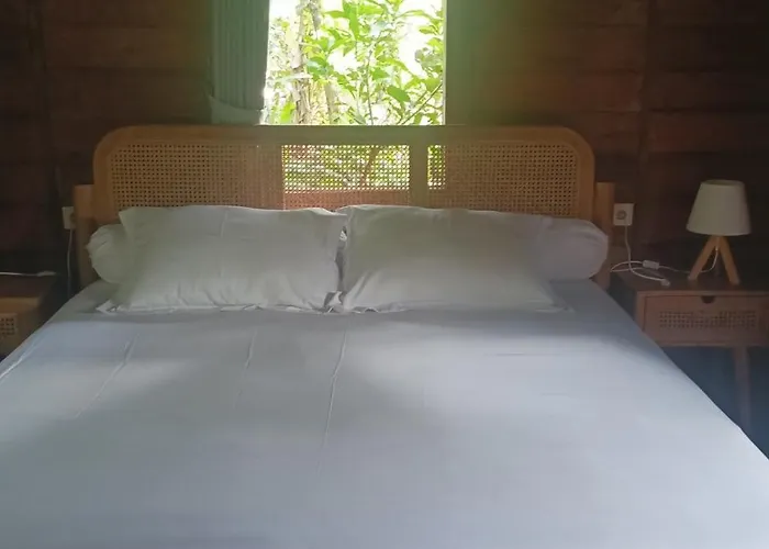 Mini-hôtel Eco Petulu